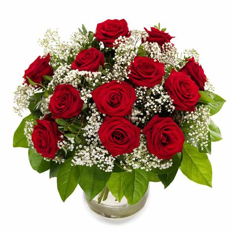12 Premium Red Roses